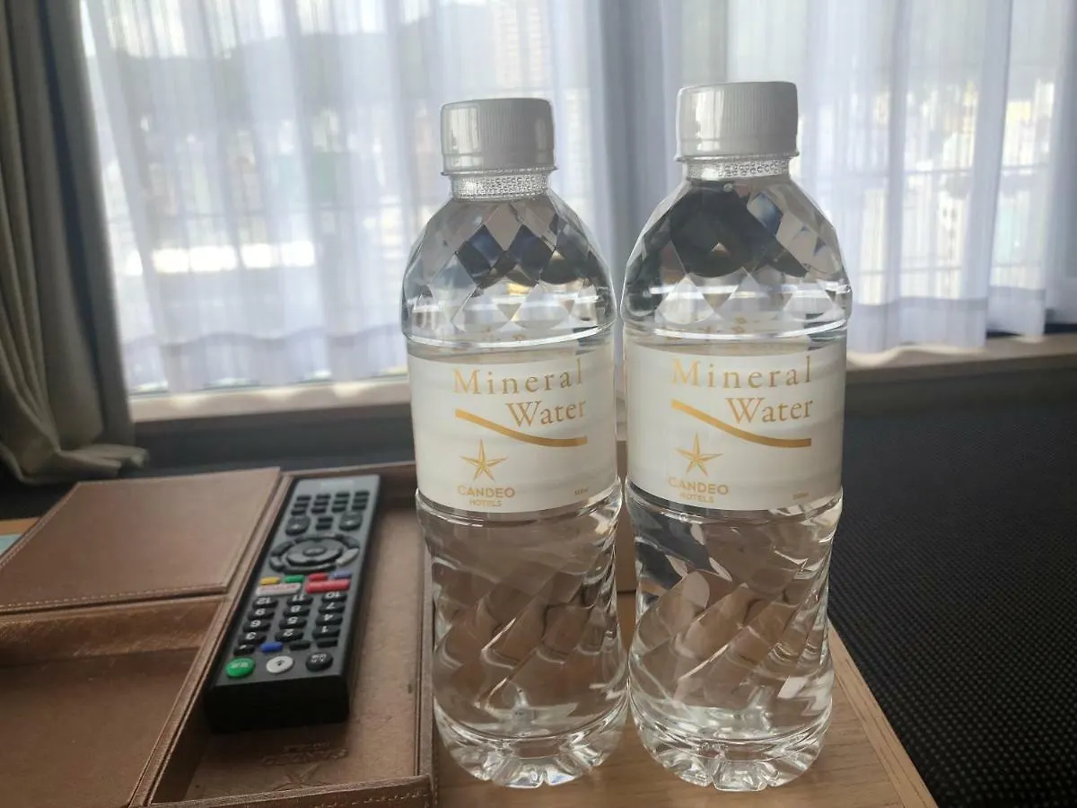Candeo Hotels Kobe Tor Road Japan